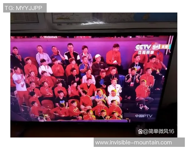 杭州乒乓球队整体表现分析与压制策略的得失探讨